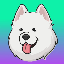 Samoyedcoin Logosu