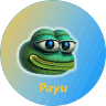 PAYU Logosu