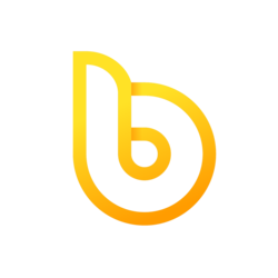 bDollar Logo