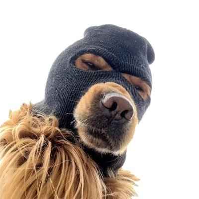 SKI MASK DOG Logo