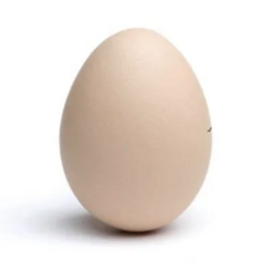 Egg Logosu